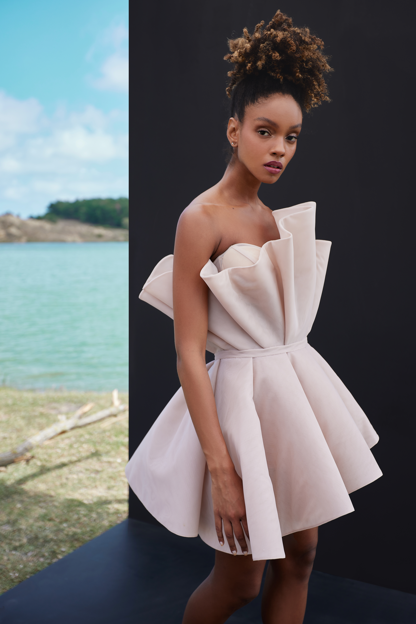 GABRIELLE DRESS