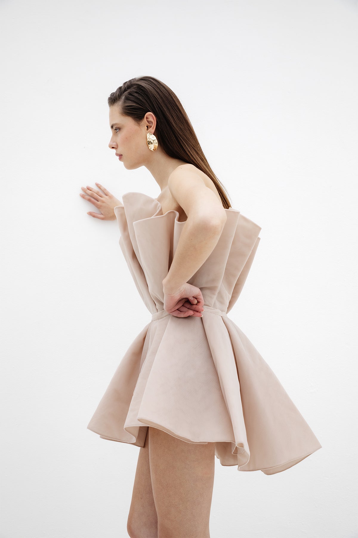 GABRIELLE DRESS